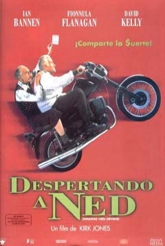 Poster Despertando a Ned