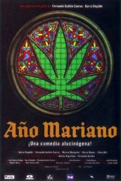 Poster Año Mariano