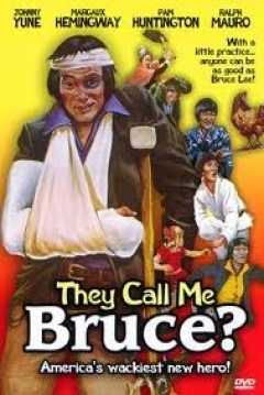 Poster Le Llamaban Bruce