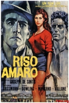 Poster Arroz Amargo
