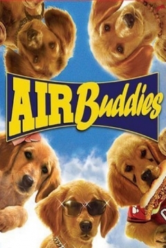 Poster Air Buddies