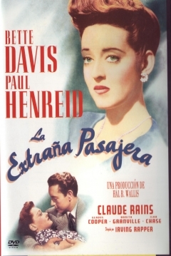 Poster La Extraña Pasajera