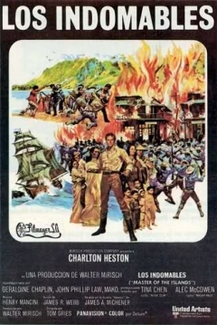 Poster Los Indomables
