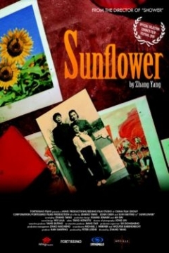 Poster Sunflower