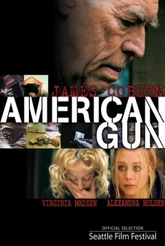 Poster American Gun