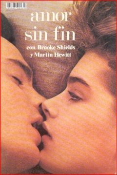 Poster Amor sin Fin