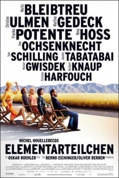 Poster Las Partículas Elementales