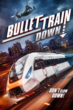Ficha Tren Bala Abatido