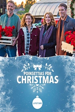 Poster Navidad entre las flores