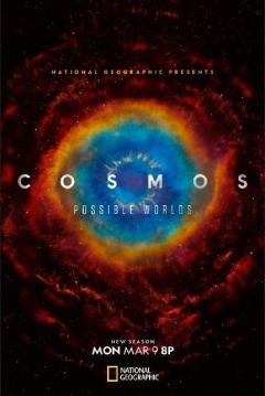 Poster Cosmos: Otros Mundos