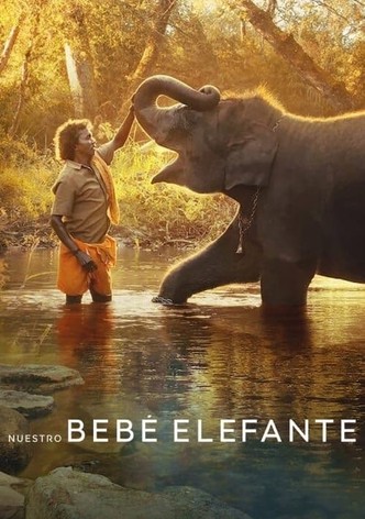 Poster Nuestro Bebé Elefante