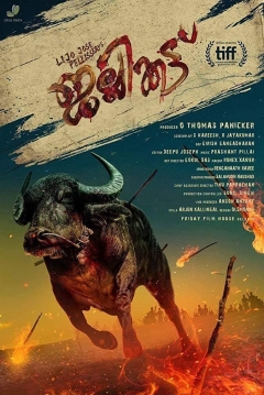 Poster Jellykettu