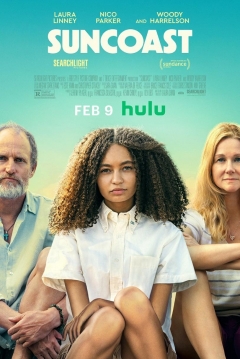 Suncoast — póster