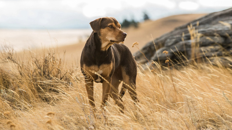 Final de Uno más de la familia explicado