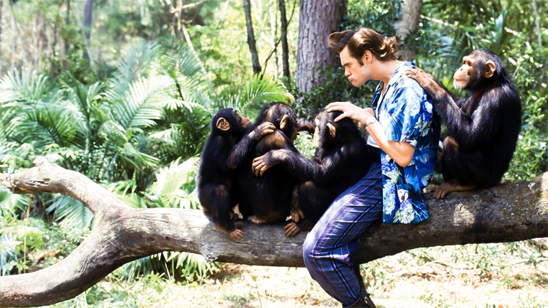 Final de Ace Ventura: Operación África explicado