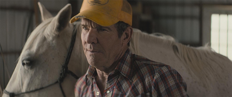 Empezar de nuevo película 2025