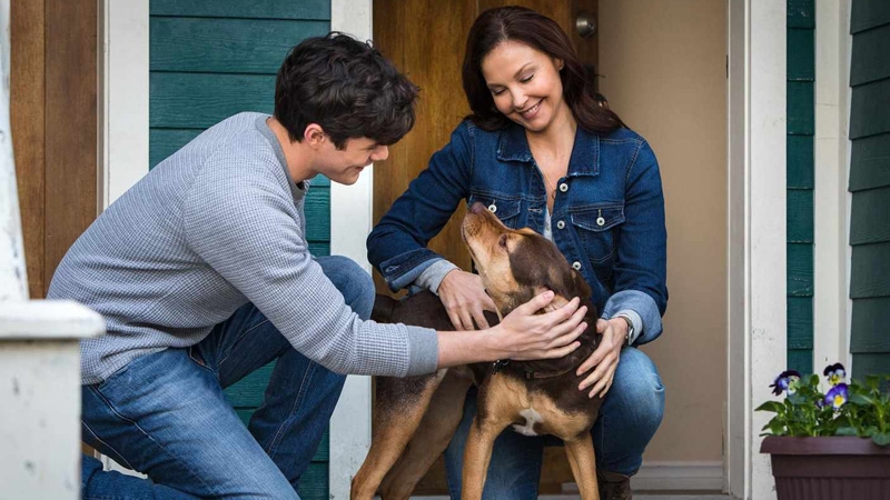 Final de Uno más de la familia explicado