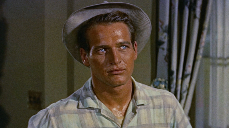 Final de El largo y cálido verano explicado