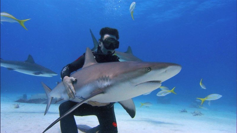 Ricardo Darín en El Aura