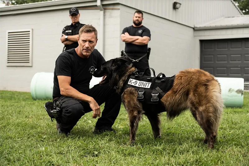 Jake y Socks en Ajuste de cuentas