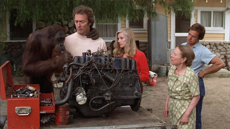 Clint Eastwood La Gran Pelea Clyde orangután