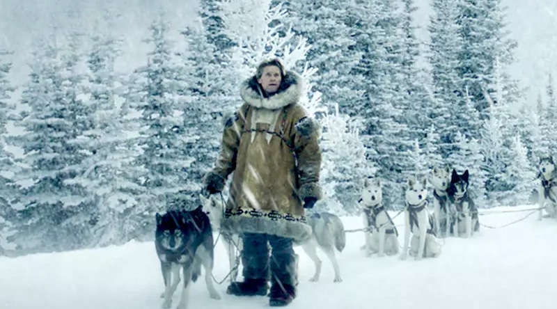 Togo cruzando el hielo