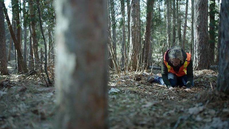 Final de Sin Rastro de Sarah explicado