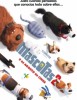 Póster de Mascotas 2