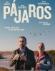 Póster de Pájaros