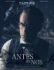Póster de Antes de nós