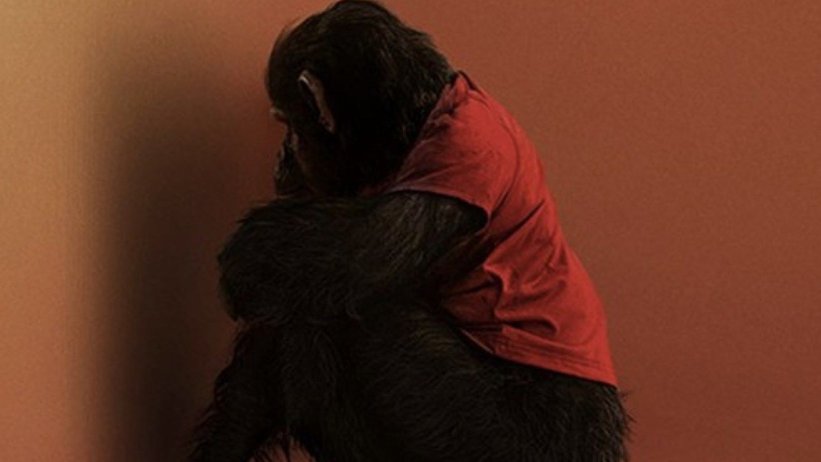 “Primate” mueve su fecha y llegará a los cines en febrero