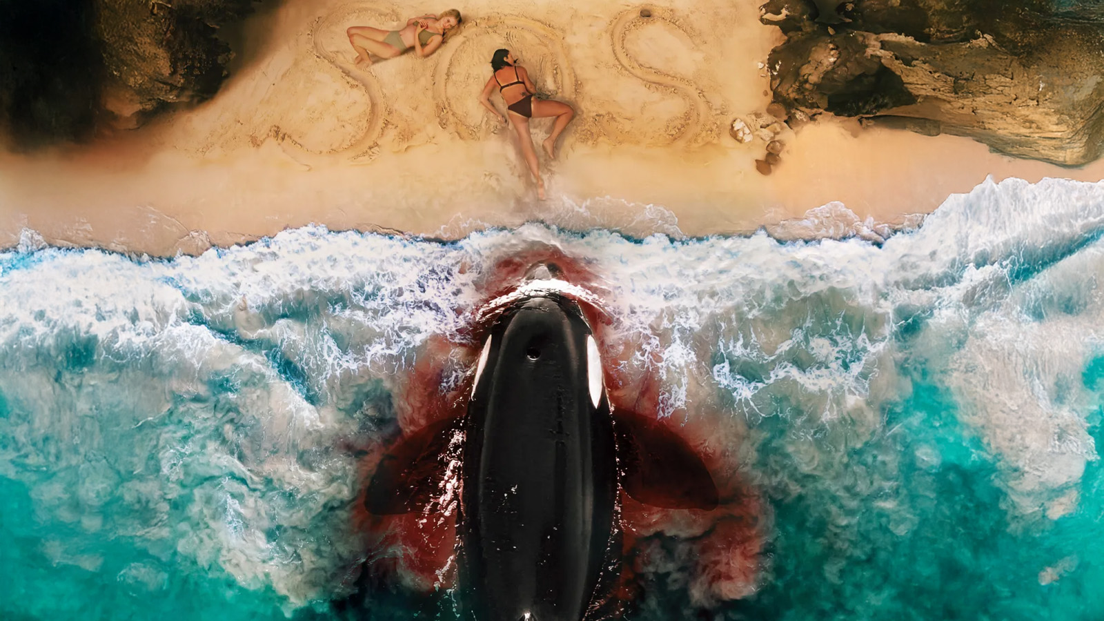 “Killer Whale”: tráiler y póster del nuevo thriller acuático de Lionsgate