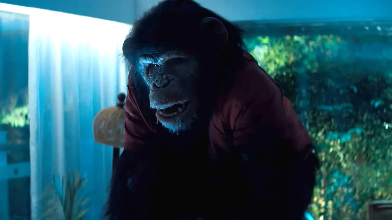 “Primate” obtiene calificación R: violento contenido sangriento y gore