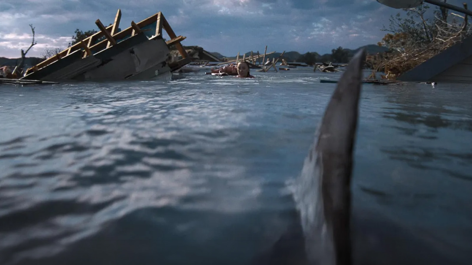 Primer vistazo a “Thrash”, la nueva película de tiburones de Tommy Wirkola para Netflix
