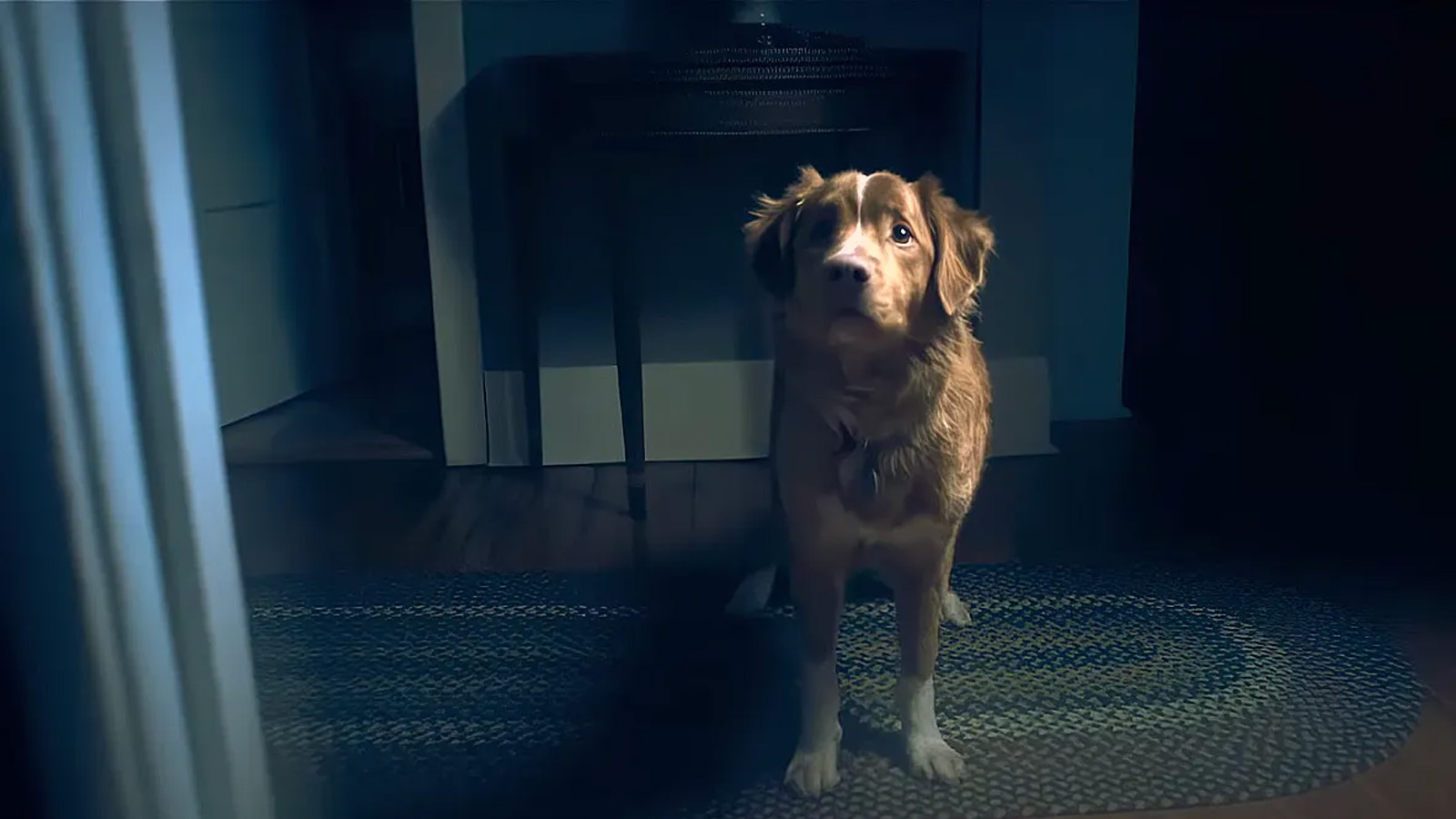 “Follow Mode”, lo nuevo del director de “Good Boy”, será un thriller rodado íntegramente con drones
