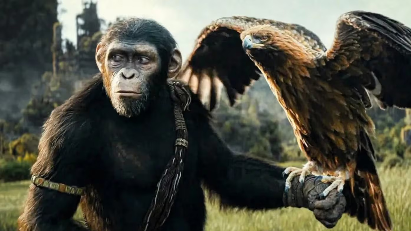 La saga “El Planeta de los Simios” prepara una nueva película independiente