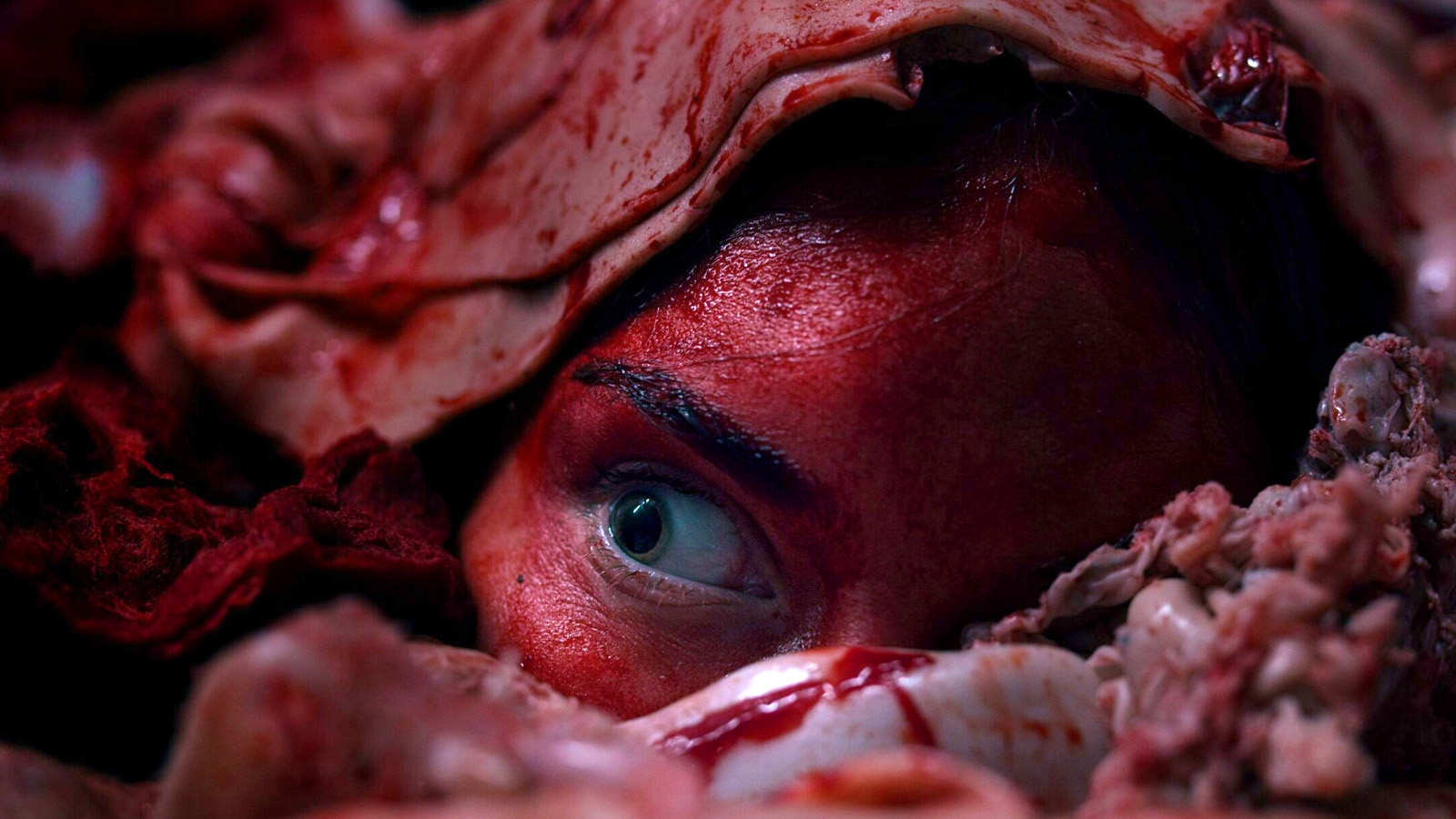 “Instinto animal” llega al VOD con una historia de activistas, granjas y venganza sangrienta