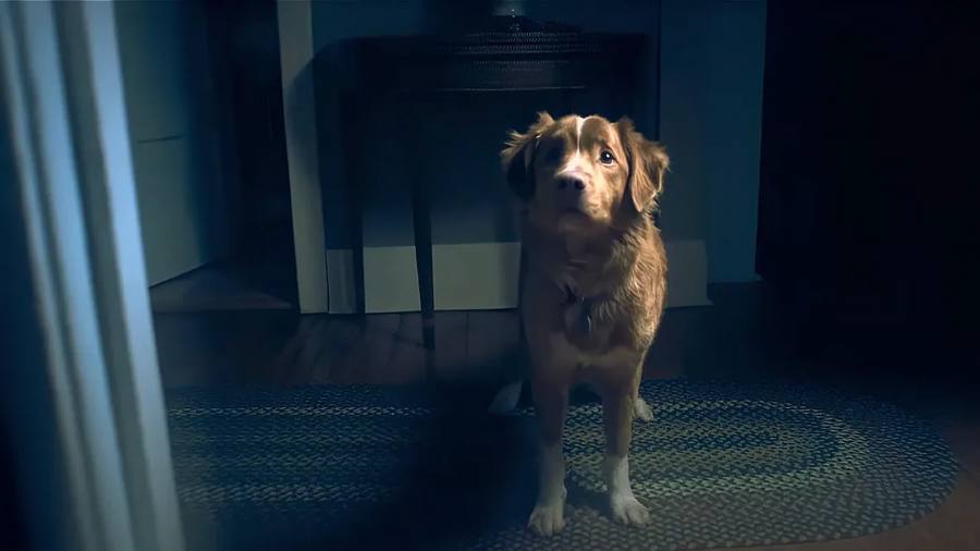 Filmin incorpora a su catálogo “Good Boy” el próximo 19 de diciembre