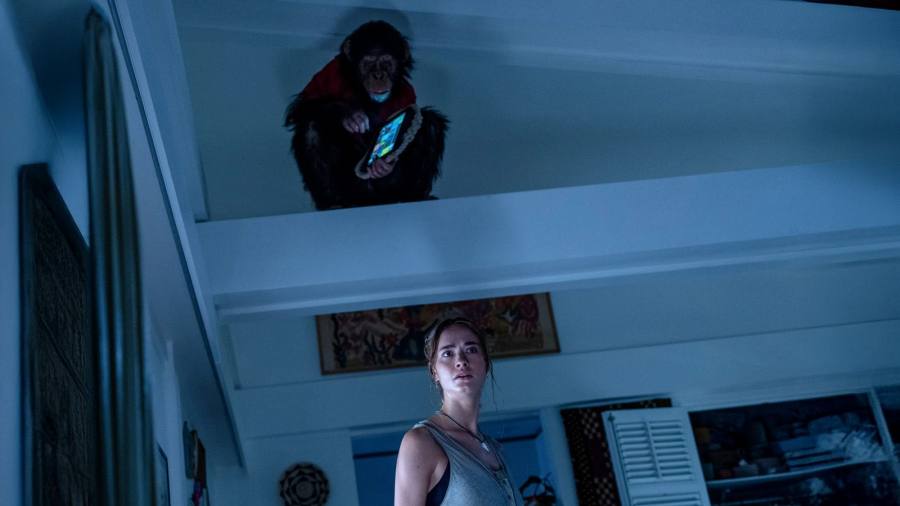 Las primeras críticas de “Primate” la confirman como un salvaje y efectivo slasher animal 