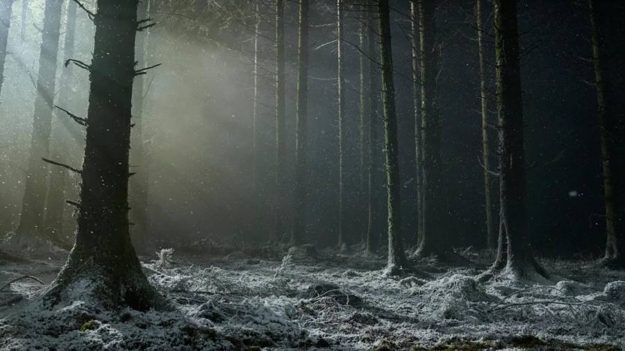 Robert Eggers muestra la primera imagen de “Werwulf”, su nueva pesadilla de hombres lobo