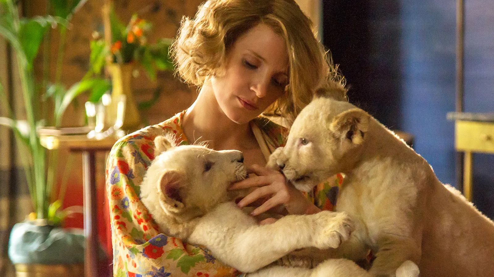 Explicación del final de La Casa de la Esperanza