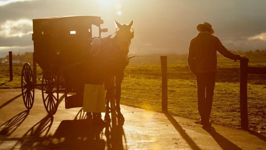 ¿Merece la pena ver Paso Decisivo en Antena 3?